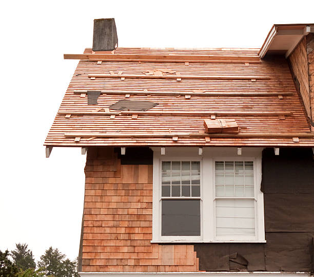 Affordable Siding Repair and Maintenance Services in South Charleston, OH